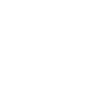 tnt networks