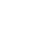 tnt networks